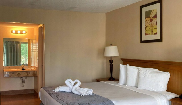 A Delightful Room for Staycation! Free Parking