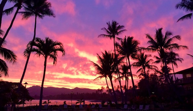 Beautiful Lae Nani Unit 112 Oceanfront One Bedroom Condo Coconut Coast Wailua.