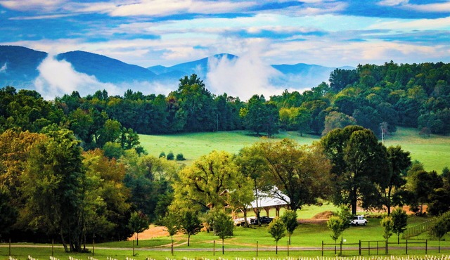 Charming Vineyard Cabin-Wine, Vines, & Views near-WLU, VMI, & The Horse Center