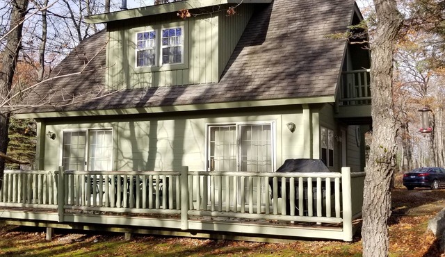 Cozy 2bed2bath cottage w/fireplace in the woods, perfect for Up North adventure