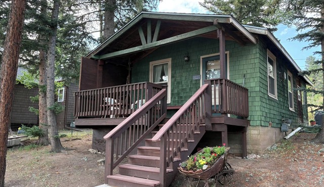 Cozy & Quiet 1BD Cabin in Nederland ~ Walk to Downtown