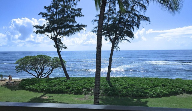 Direct Ocean Front, Top Floor Studio Paradise