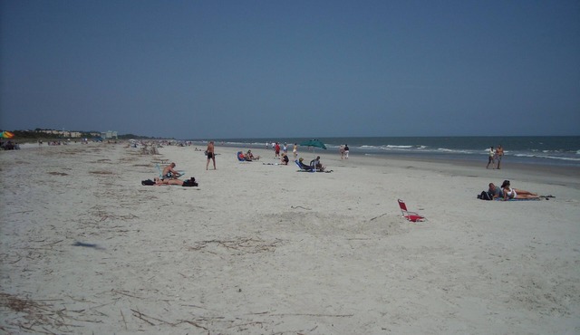JUL28- AUG 1 &16-:OCEANVIEW3RDFL,2B/2B,50ydtoBEACH,POOL, NEWtile shower,ELEVATOR