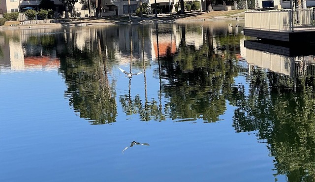 ❤️LAKE-STYLE Bliss❤️ Serene condo with lake views, and modern amenities.