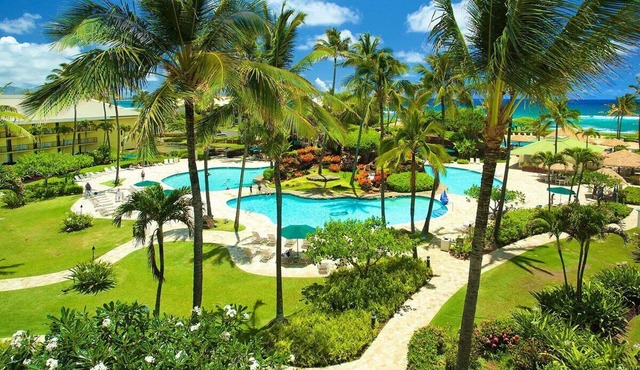 Oceanfront Resort, 4 Beautiful Pools 2 Jacuzzis, 3 mile stretch of Beach