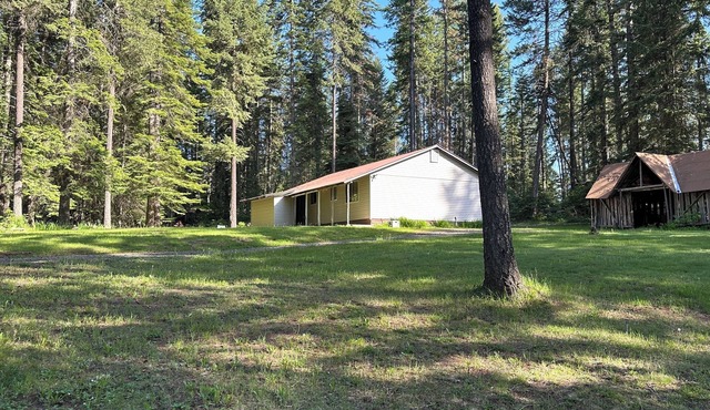 Our Cozy 2-bedroom Cottage in the Woods in Remote North Idaho-A Perfect Getaway!