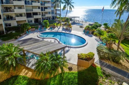 Palms 309