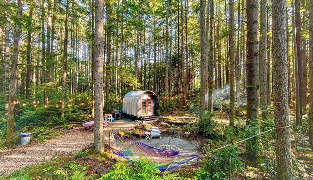 Private Forest Glamping Cabin in Beautiful Port Orchard