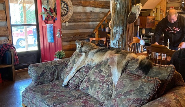 Rustic log cabin - Lanark Highlands