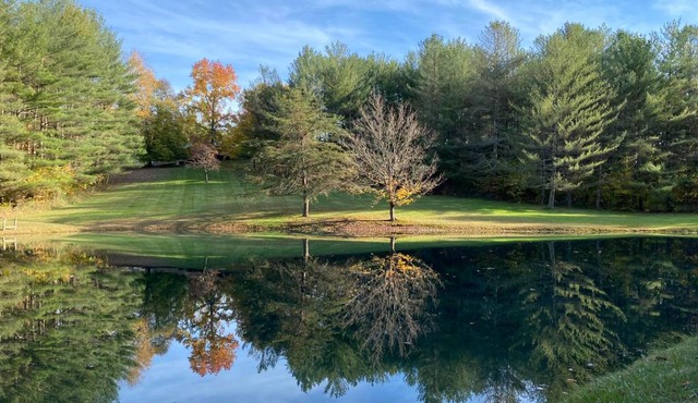 White Pine Retreat
