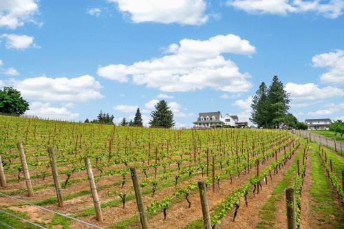 Willamette Wine Country Vineyard Escape