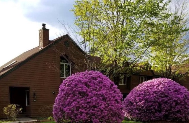 TownHouse at Deer Park Resort