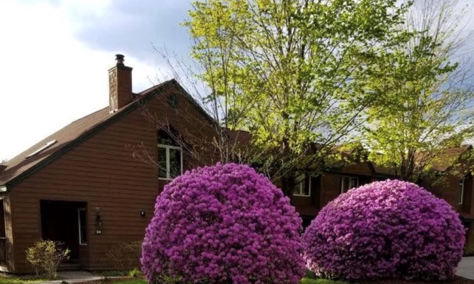 North Woodstock Condo | TownHouse at Deer Park Resort