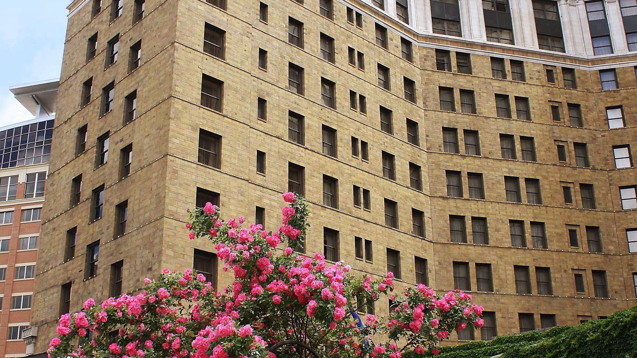 Photo of Buildings in Core