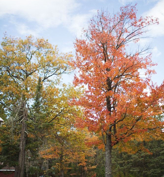 Photo of Outdoor in Ashland