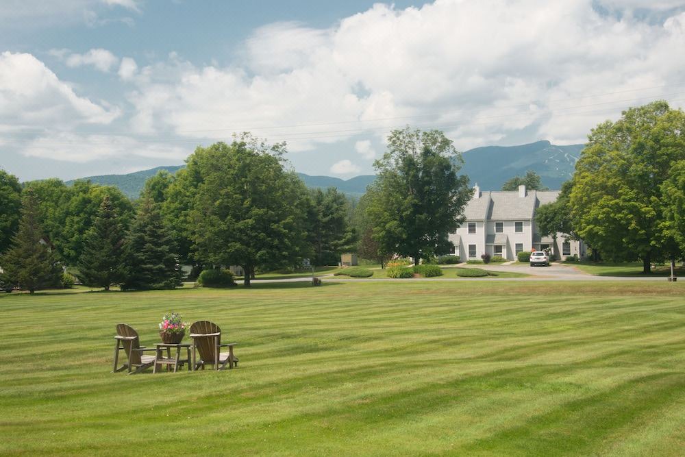 Photo of Others in Stowe