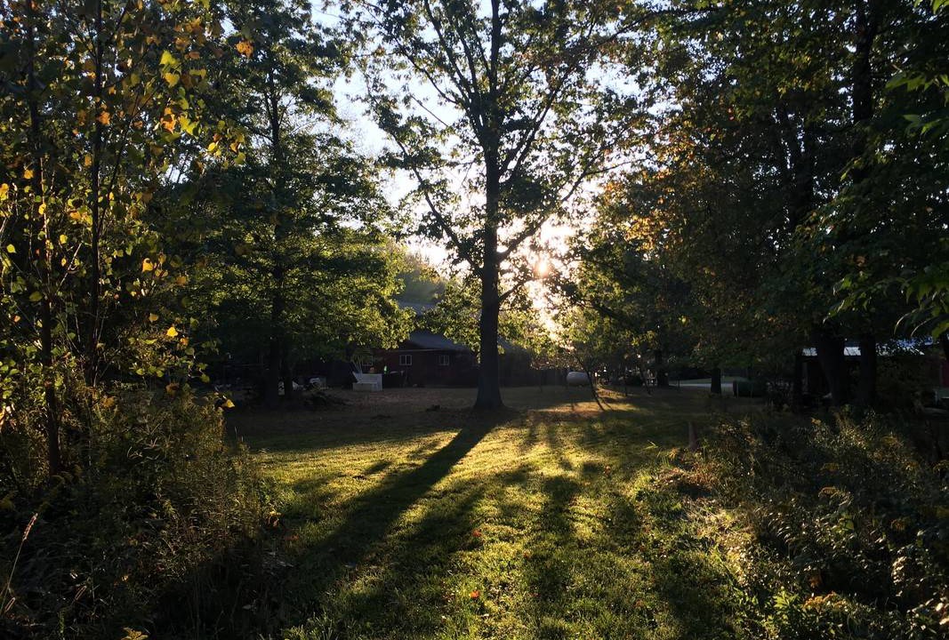 Photo of Others in Fennville