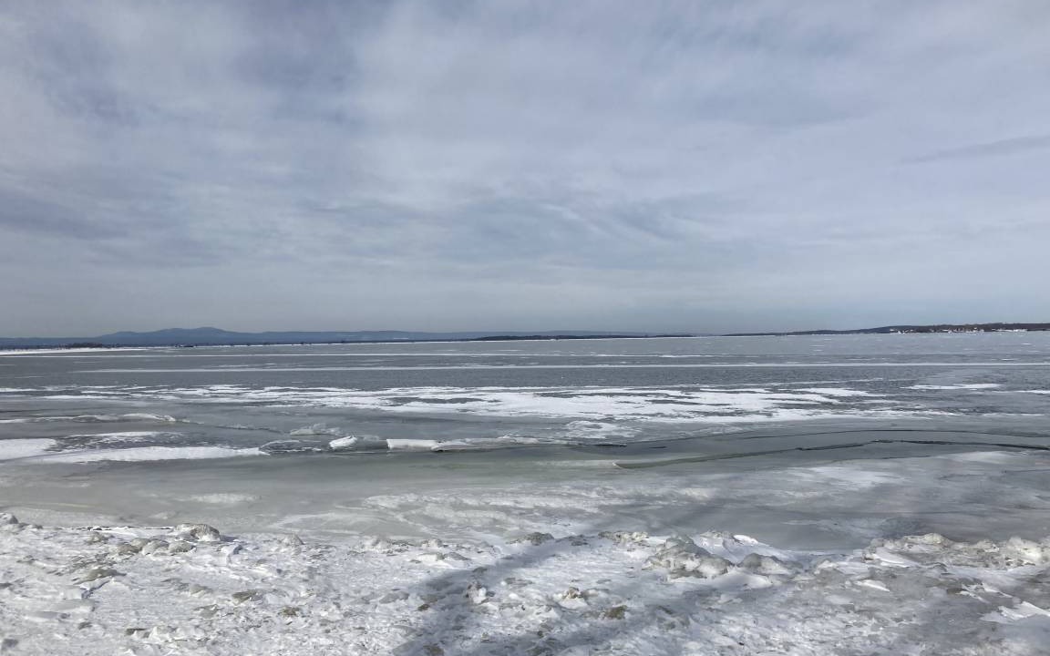 Photo of Others in Malletts Bay