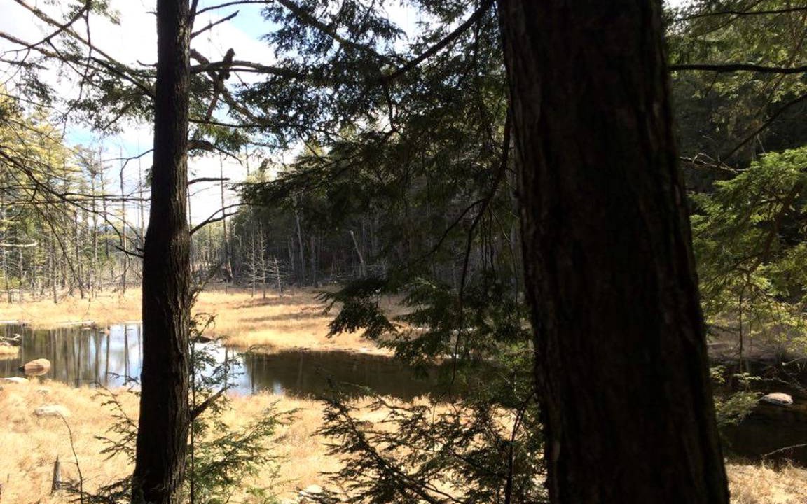 Photo of Others in Schroon Lake