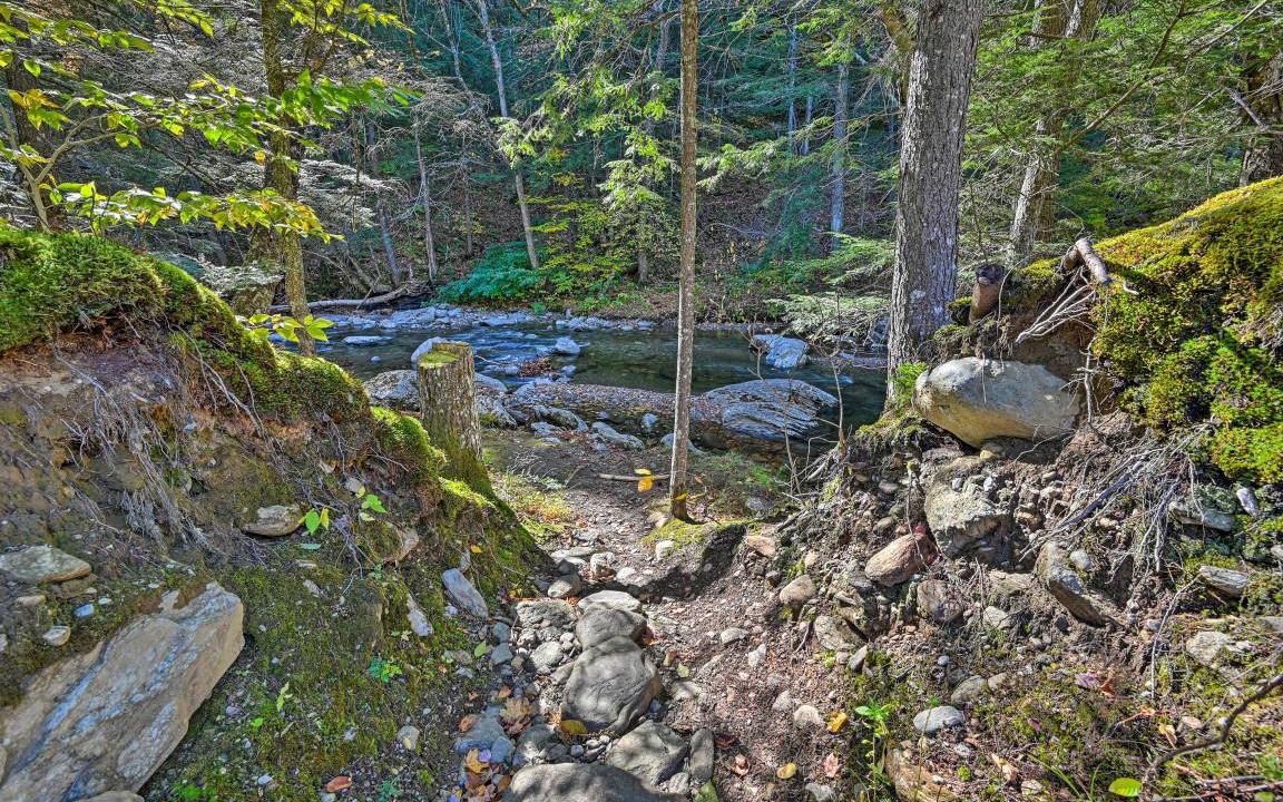 Photo of Others in Stowe Area