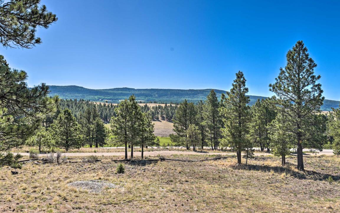 Photo of Others in Angel Fire