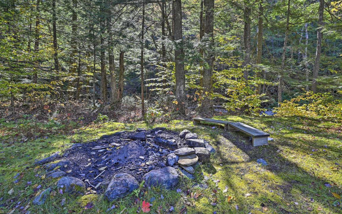 Photo of Others in Stowe Area