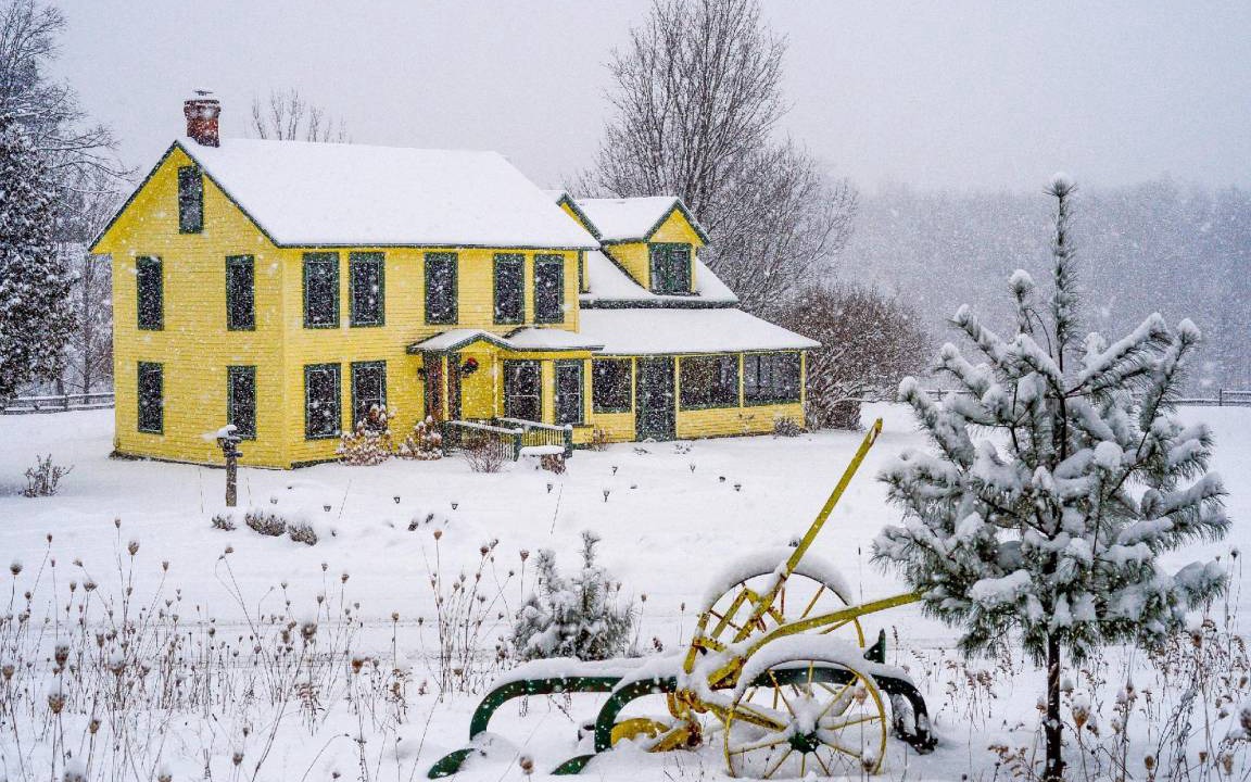 Photo of Others in Keene