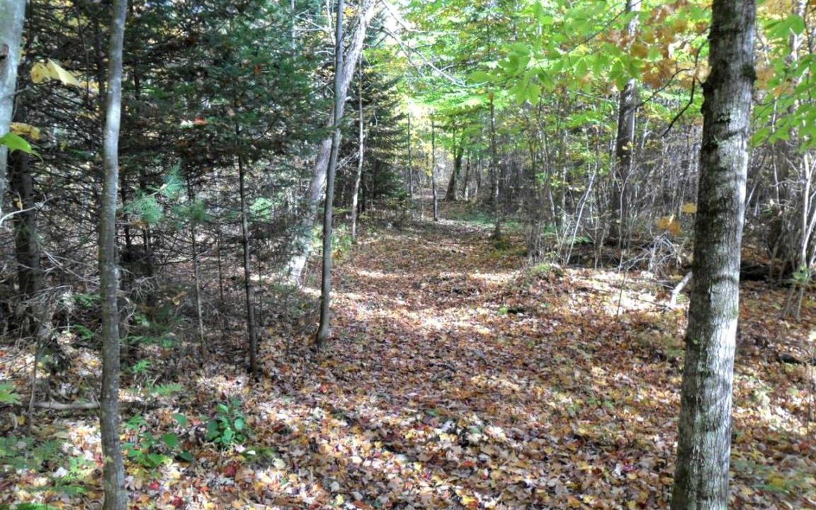 Photo of Others in Au Sable Forks
