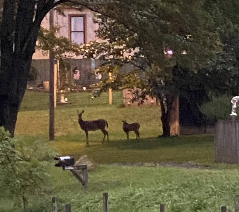 Photo of Others in Mount Hope