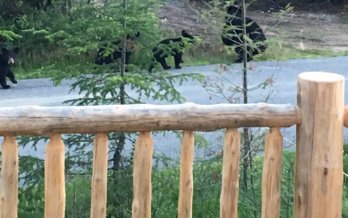 Photo of Others in Bretton Woods