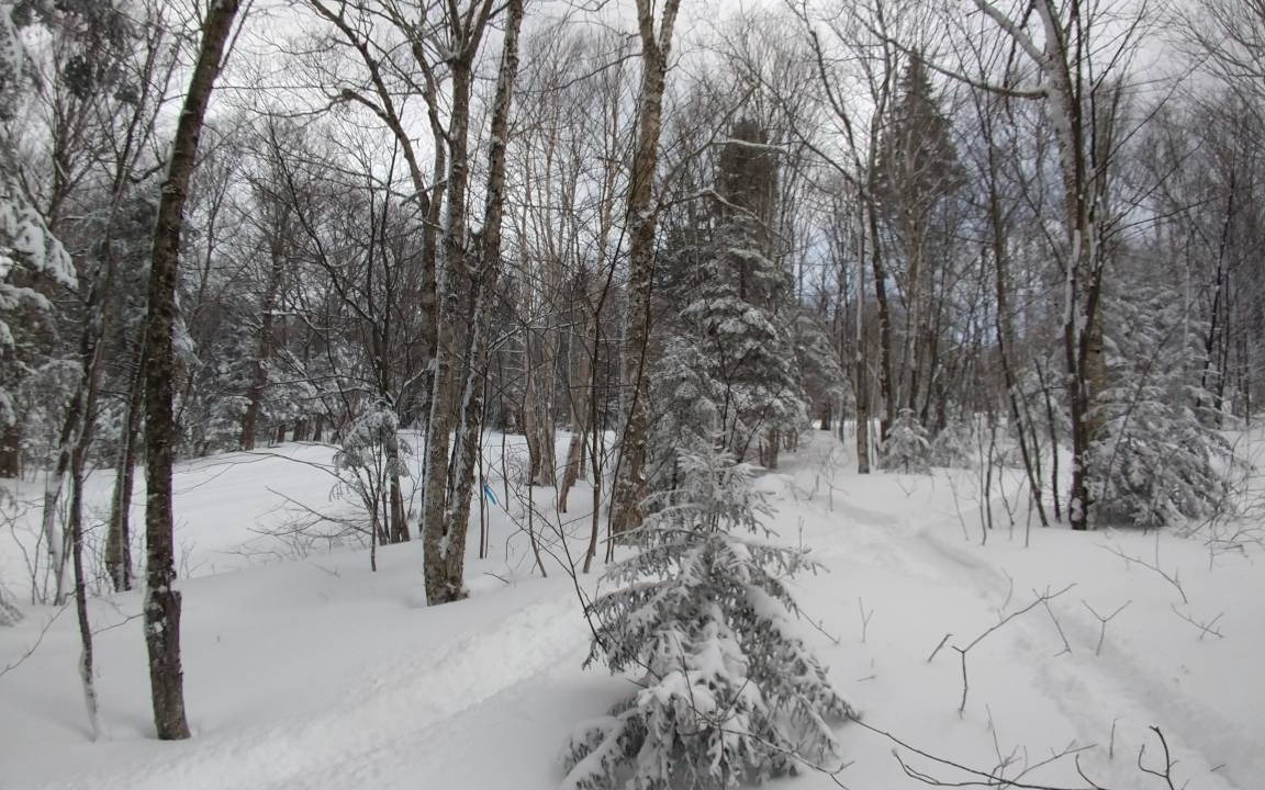 Photo of Others in Bolton Valley