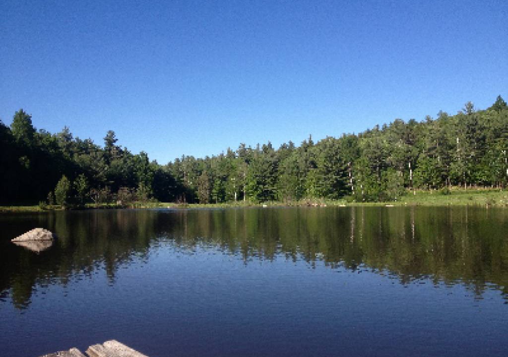 Photo of Outdoor in Keene