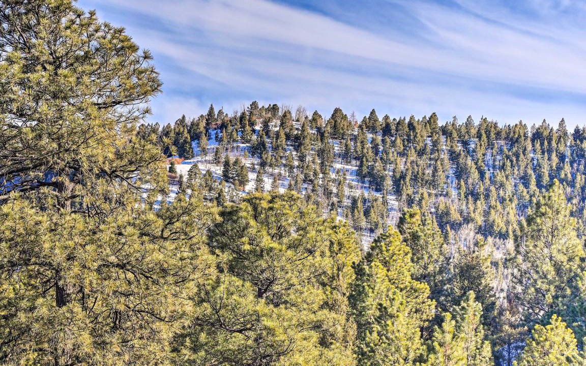 Photo of Others in Jemez Springs