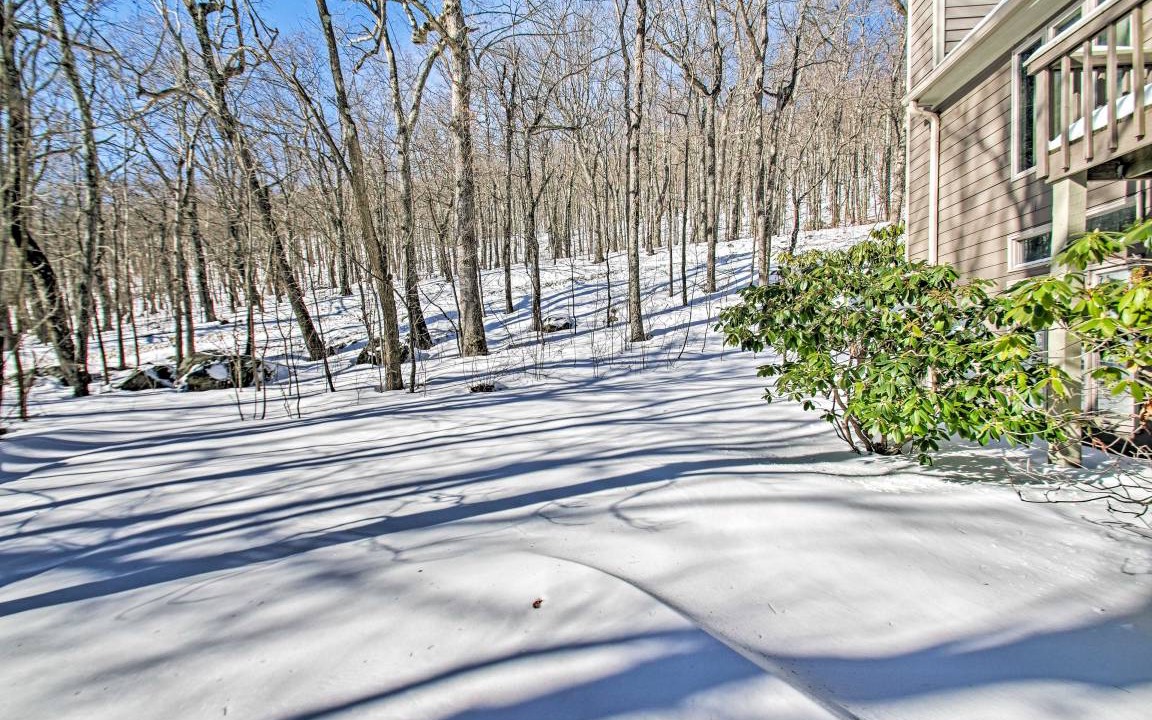 Photo of Others in Wintergreen