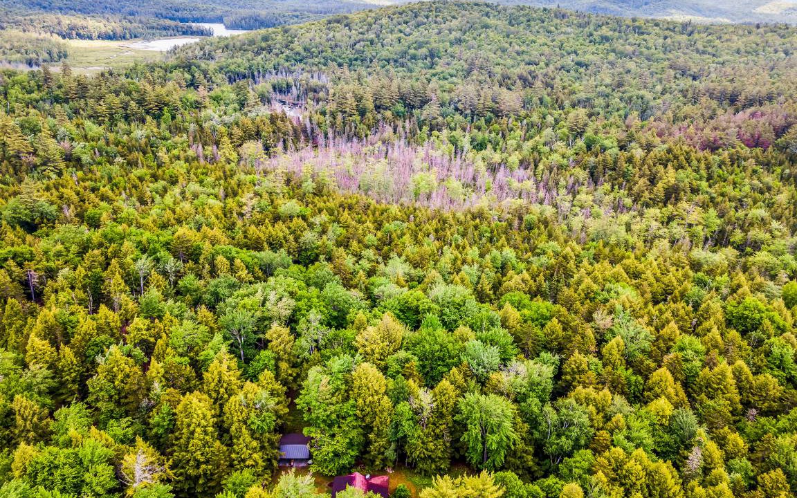 Photo of Others in Schroon Lake