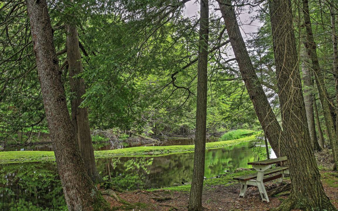 Photo of Others in Birnamwood