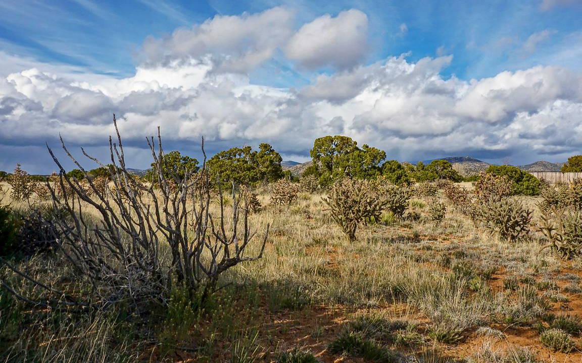Photo of Others in Eldorado at Santa Fe