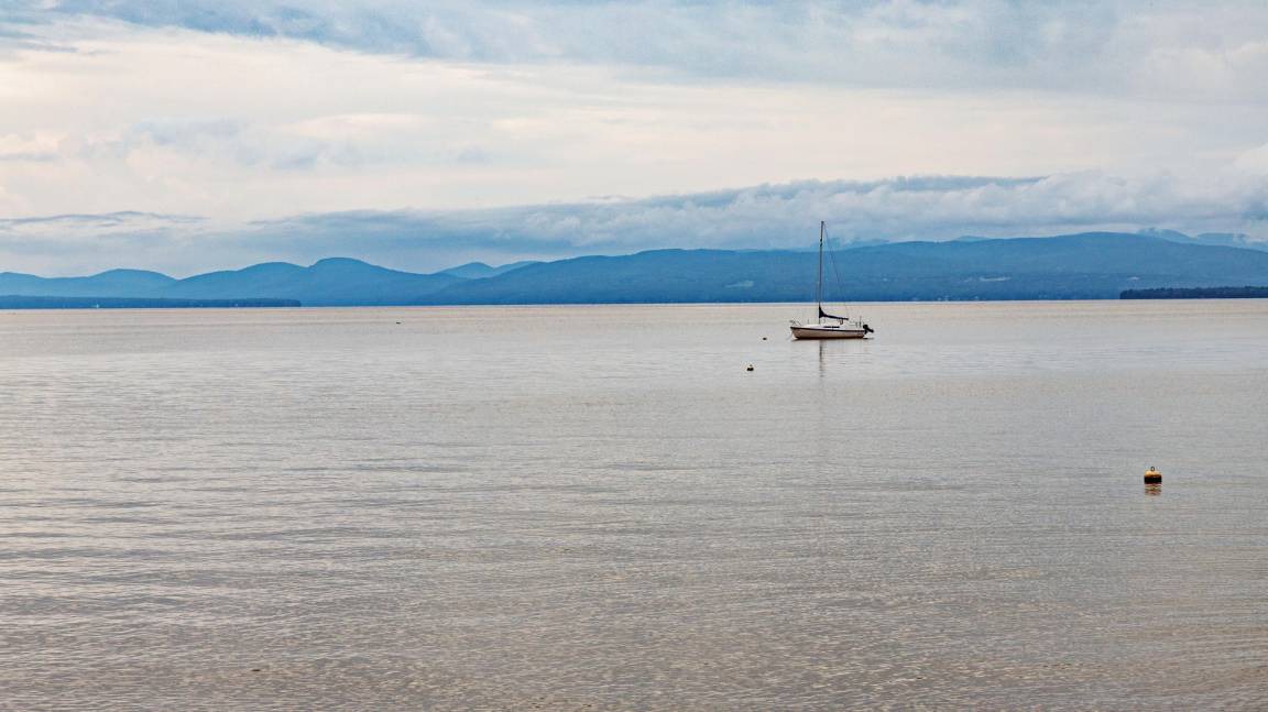 Photo of Others in Malletts Bay