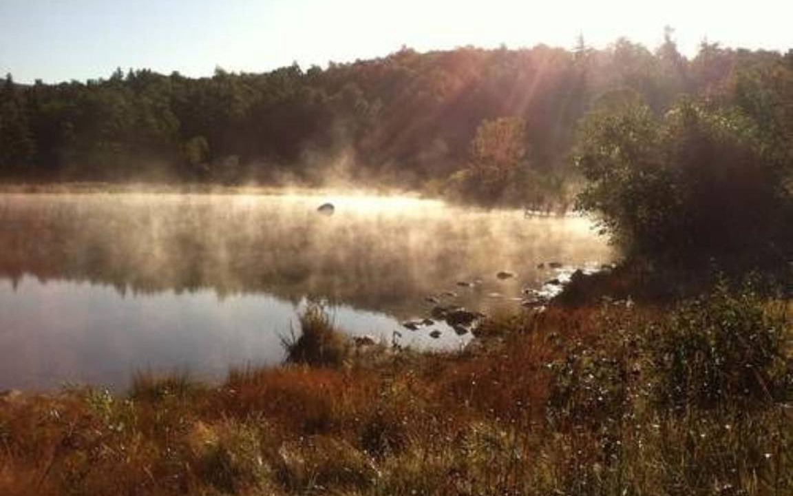 Photo of Others in Keene