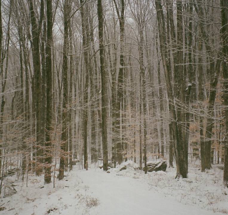 Photo of Others in East Haven  Rutland County