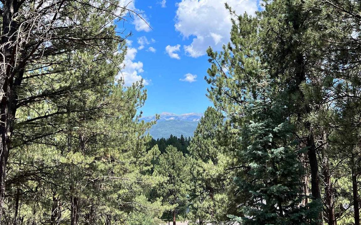 Photo of Others in Angel Fire