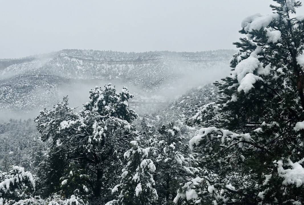 Photo of Others in Jemez Springs
