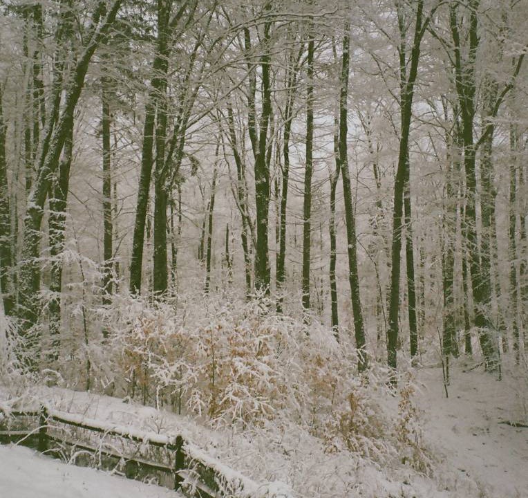 Photo of Others in East Haven  Rutland County