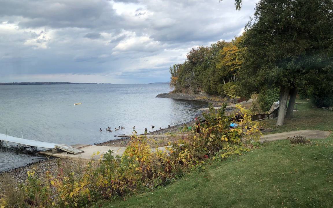Photo of Others in Malletts Bay