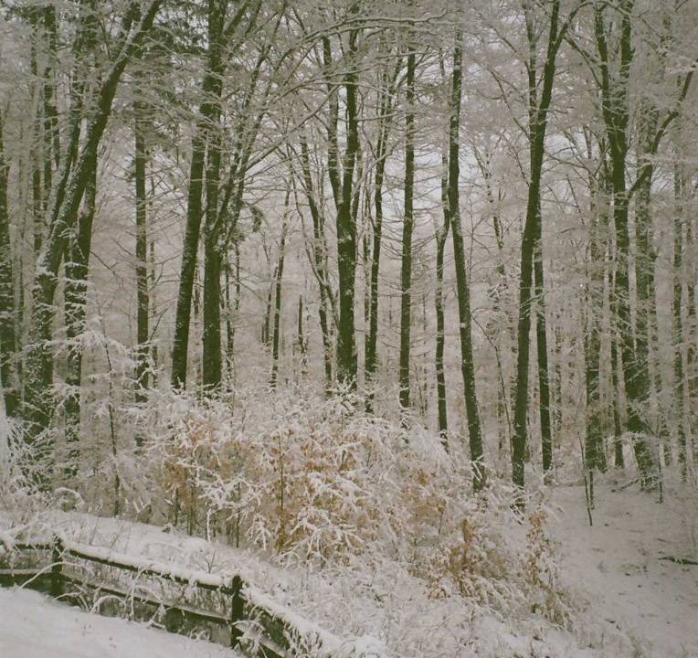 Photo of Others in East Haven  Rutland County
