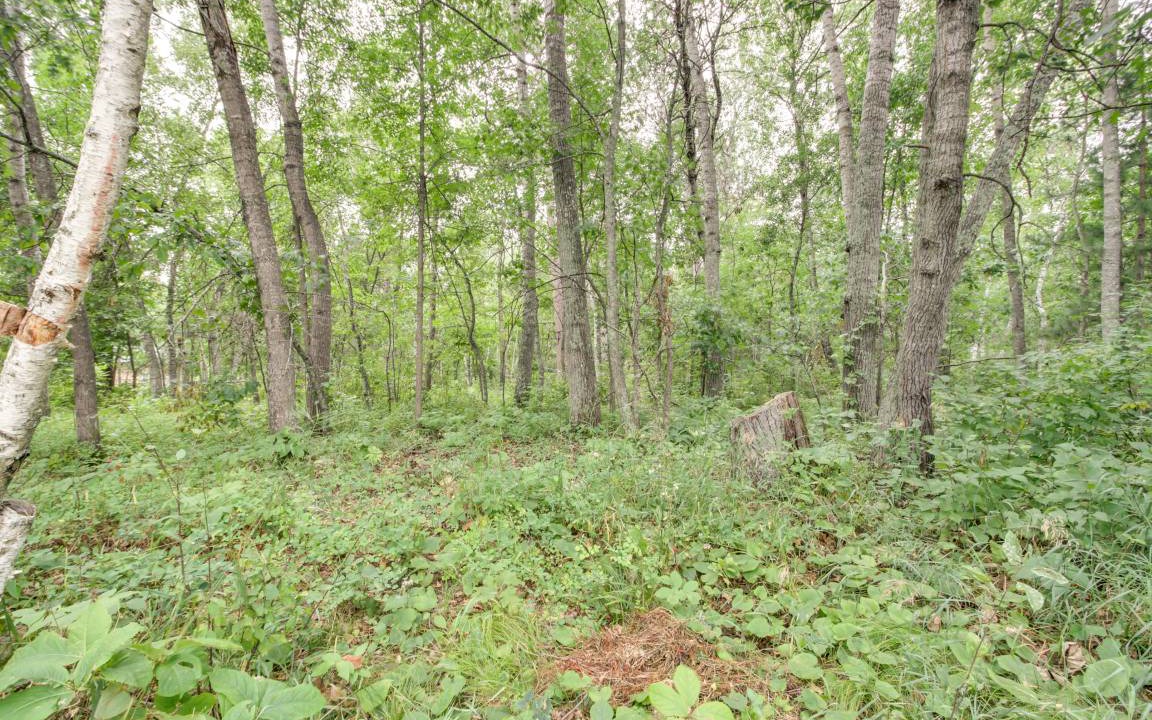 Photo of Others in Pequot Lakes
