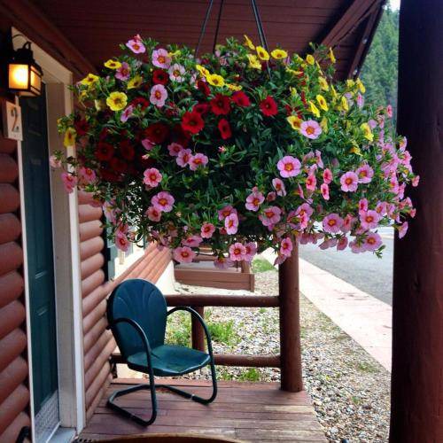 Photo of Patio Balcony in Red River
