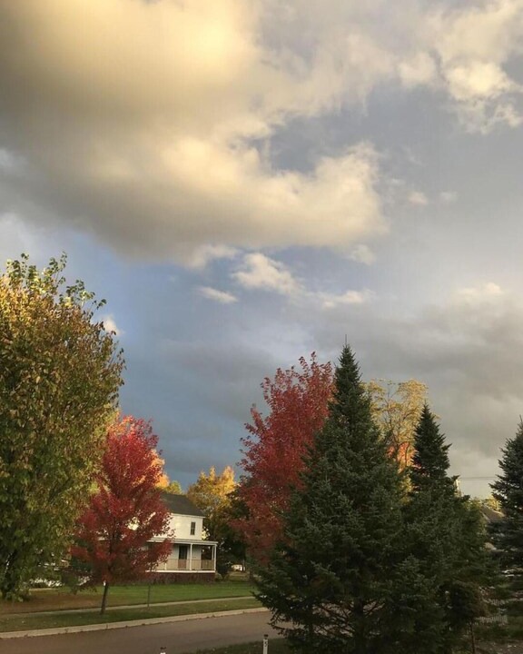 Photo of Outdoor in Williston North