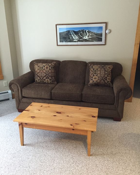 Photo of Livingroom in North Troy