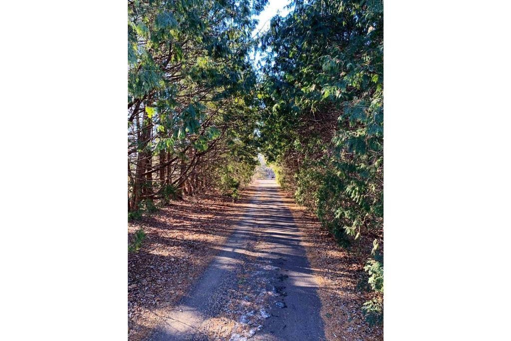 Photo of Outdoor in Lakeland